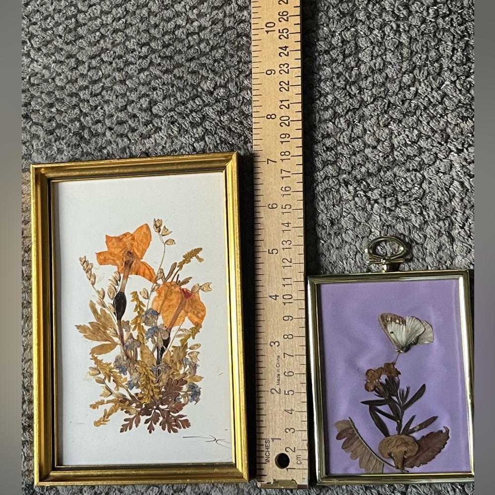 Vintage Tirol Austria Framed Pressed Flowers & Homemade Framed Butterfly 2 Pc - Picture 11 of 13